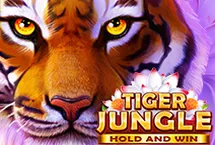 RTP quickspin Placebet138 | Login Slot Qris Indonesia Di Link Alternatif Terbaru